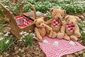Teddy Bear Picnic Party ...